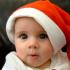 cuceto