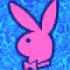 pink_bunny