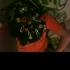 dark_angel97 a.k.a. Jeni