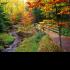 taini_99