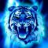 milioner_256
