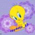 ray4eto_c