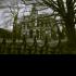 the_haunted