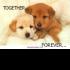 elizkata