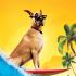 marmaduke99