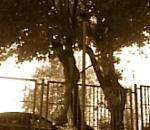 Street Fitness in BG