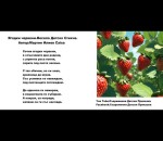 Ягодки Червени.Весело Детско Стихче